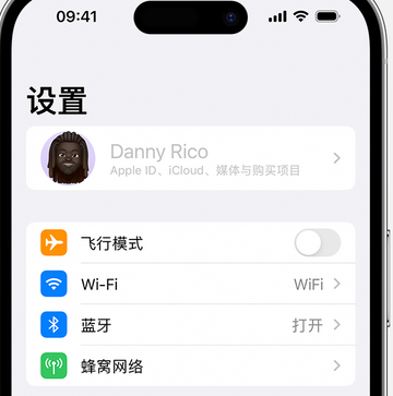 德清appleID维修服务iPhone设置中Apple ID显示为灰色无法使用 