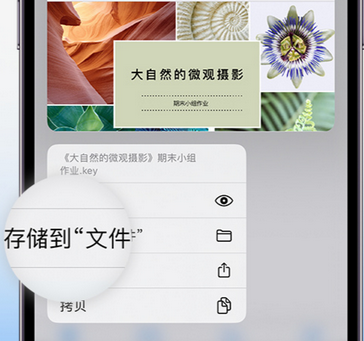 德清apple维修中心分享iPhone文件应用中存储和找到下载文件