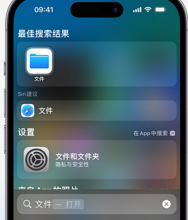 德清apple维修中心分享iPhone文件应用中存储和找到下载文件 