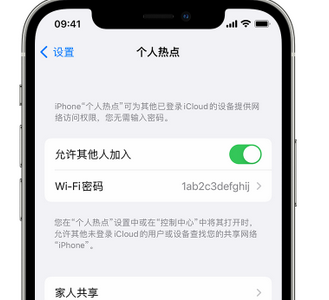 德清apple服务站点分享iPhone上个人热点丢失了怎么办 