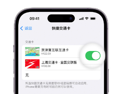 德清apple维修点分享iPhone上更换Apple Pay快捷交通卡手绘卡面 