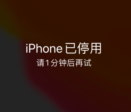 德清苹果手机维修分享:iPhone 显示“不可用”或“已停用”怎么办？还能保留数据吗？ 