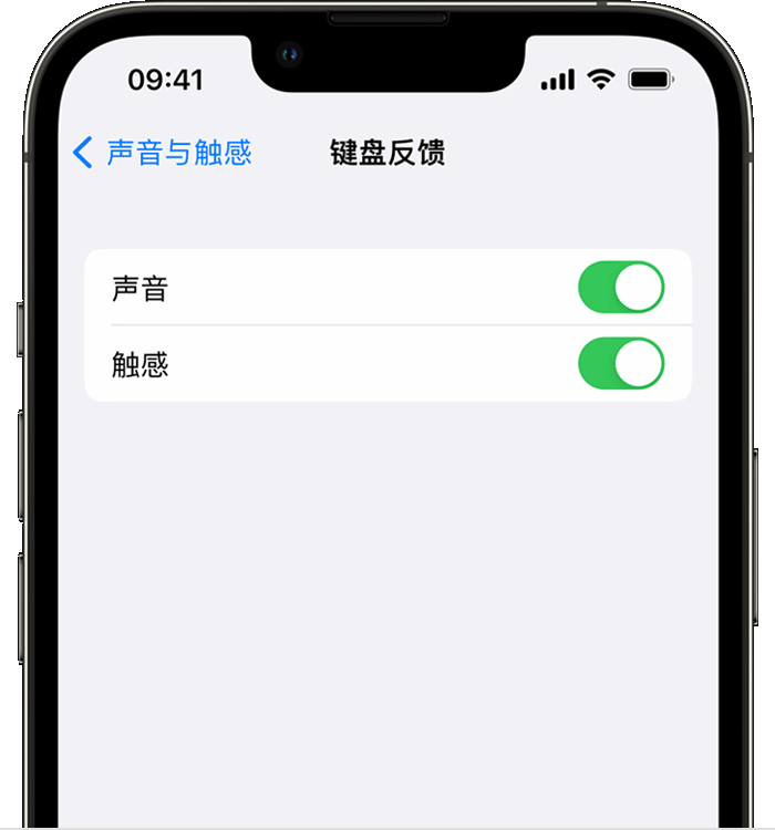 德清苹果14维修店分享如何在 iPhone 14 机型中使用触感键盘 