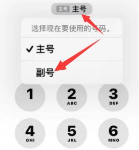 德清苹果14维修店分享iPhone 14 Pro Max使用副卡打电话的方法 