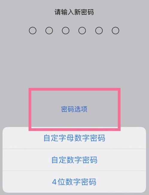 德清苹果14维修分享iPhone 14plus设置密码的方法 