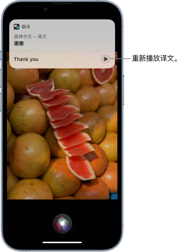 德清苹果14维修分享 iPhone 14 机型中使用 Siri：了解 Siri 能帮你做什么 