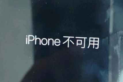 德清苹果服务网点分享锁屏界面显示“iPhone 不可用”如何解决 