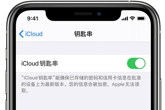 德清苹果手机维修分享在 iPhone 上开启 iCloud 钥匙串之后会储存哪些信息 