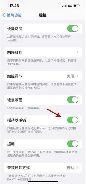 德清苹果手机维修分享iPhone手机如何设置摇一摇删除文字 